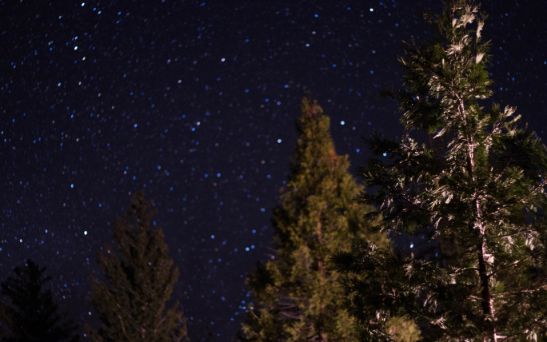 Light twinkling through the landscape in Yosemite